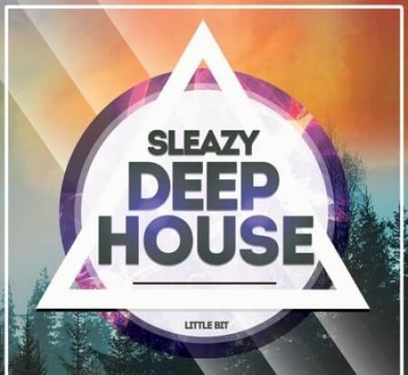 Little Bit Sleazy Deep House WAV MiDi Synth Presets